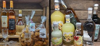 cantina-fabio-volterra-shop-online-3